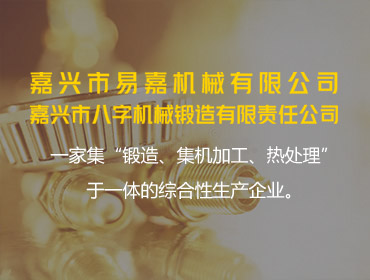嘉興市易嘉機(jī)械有限公司2024年度綠色低碳發(fā)展年度報(bào)告